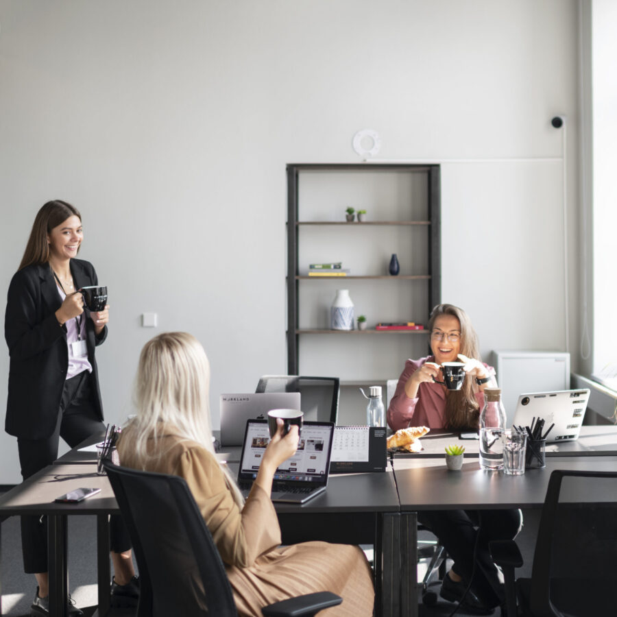 workland-didzioji-1729242778